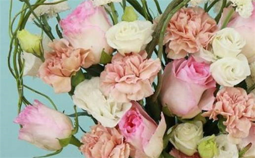 什么是月劫格的女命(什么是月劫格的女命婚姻)