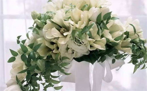 贪狼星在相貌宫_贪狼星面相