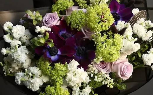 寻亲25岁属鼠女孩出嫁(寻亲25岁属鼠女孩出嫁好吗)