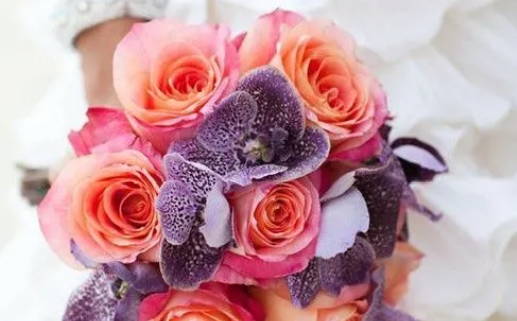 八字财格男命解析优势与挑战分析