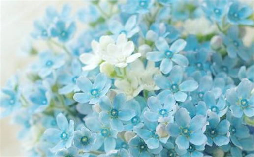 生辰八字推命有前途吗_生辰八字算命技巧之推命步骤