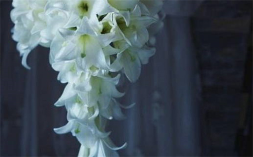 免费解卦软件助你轻松解读人生奥秘