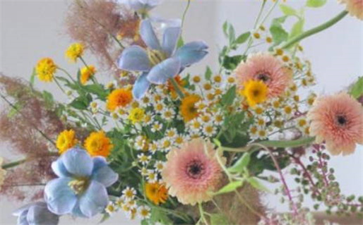 狮子座男生为何偏爱射手座女生的原因分析