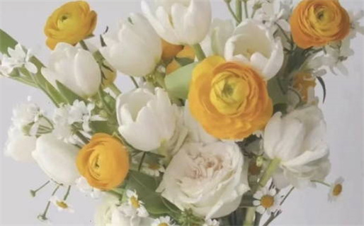 易经六爻卦象对照表全面解析与应用指南